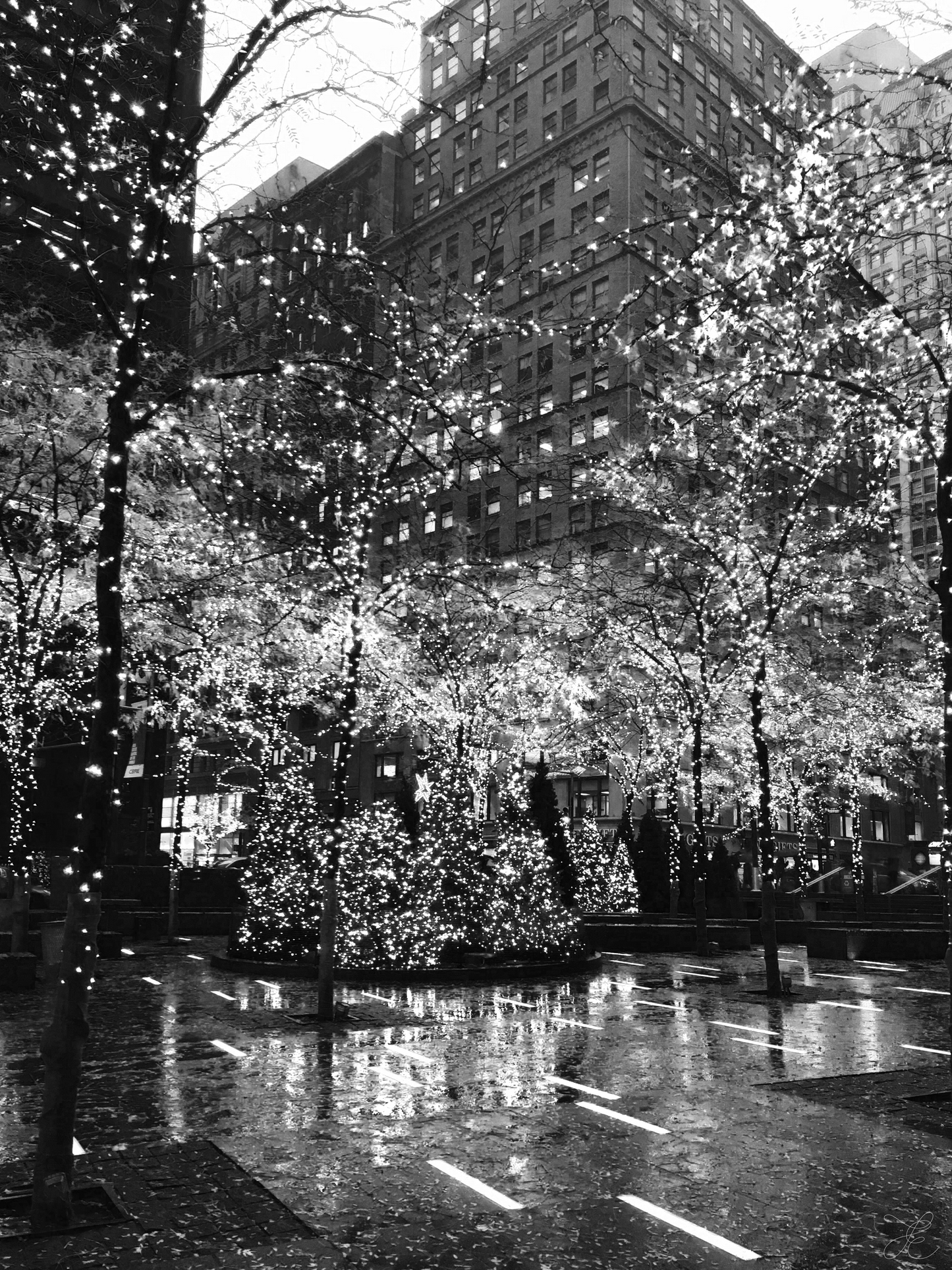 Black and white photo of a city square with trees illuminated in fairy lights against the backdrop of New York Architecture. Even though the image is monochrome the fairy lights appear to create a warm glow.