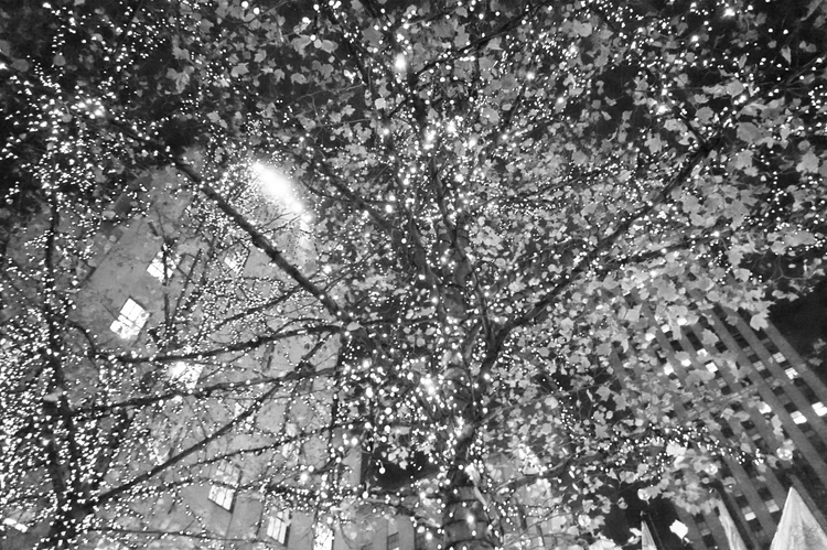 Black and white photographic image of New York architecture behind the warmth of fairy lights.