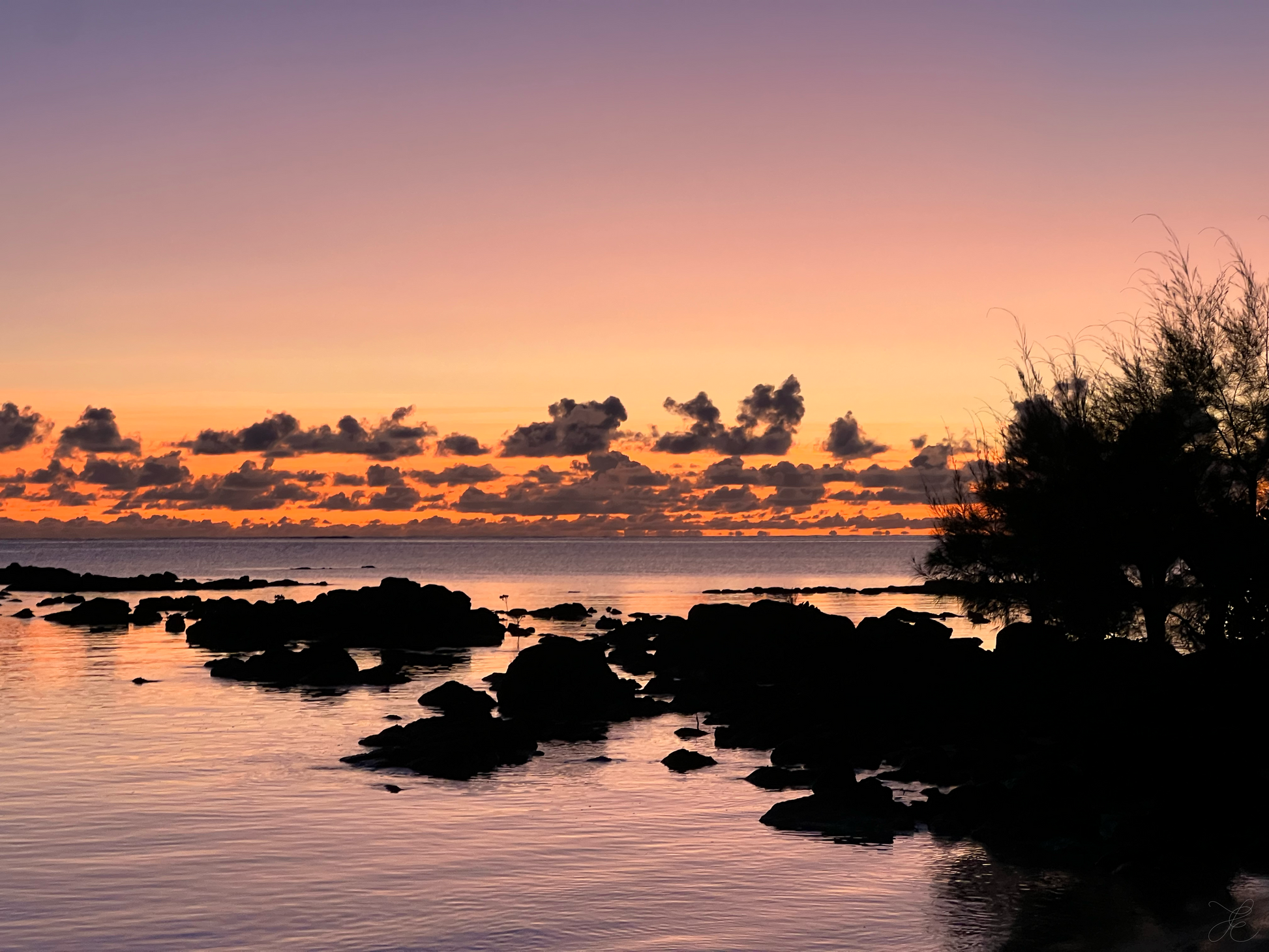 Sunrise colours of pink, purple and orange  across the skies and ocean with dark rocks and foliage framing the shoreline.