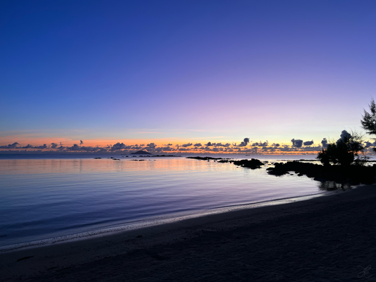 Hues of purples, lilac and faint blues with hints of remaining pinks and oranges skimming the horizon. Dark rocks create stepping stones into the calm purple waters over to the island out at sea, while foliage in the foreground adds texture and depth.