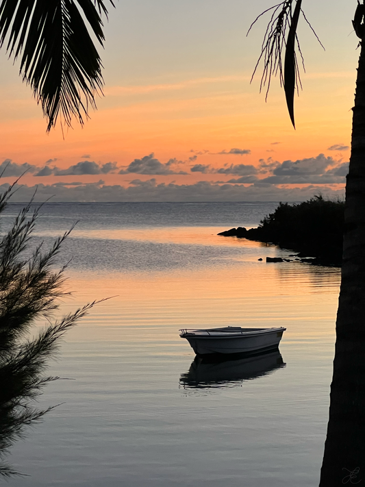 The tranquil sunrise in faint blues and hints of remaining pinks and oranges amongst soft clouds. Palms and foliage frame a small boat floating peacefully on the still waters.
