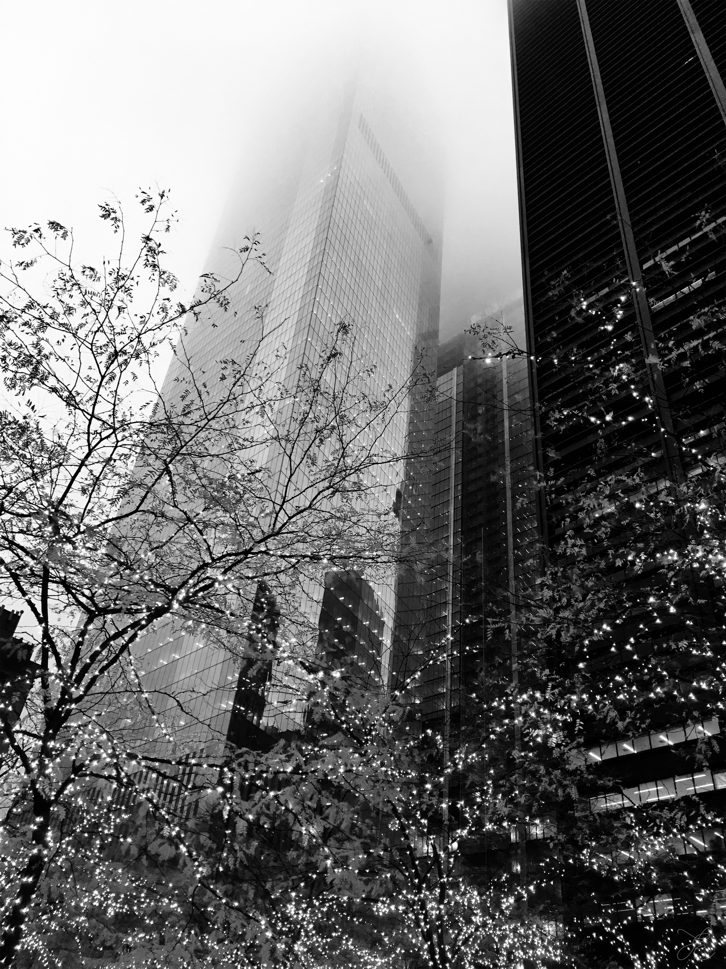 Black and white daylight photograph of New York skyscrapers reaching into cloudy skies, with trees at ground level illuminated by glowing fairy lights during the Christmas festive season.
