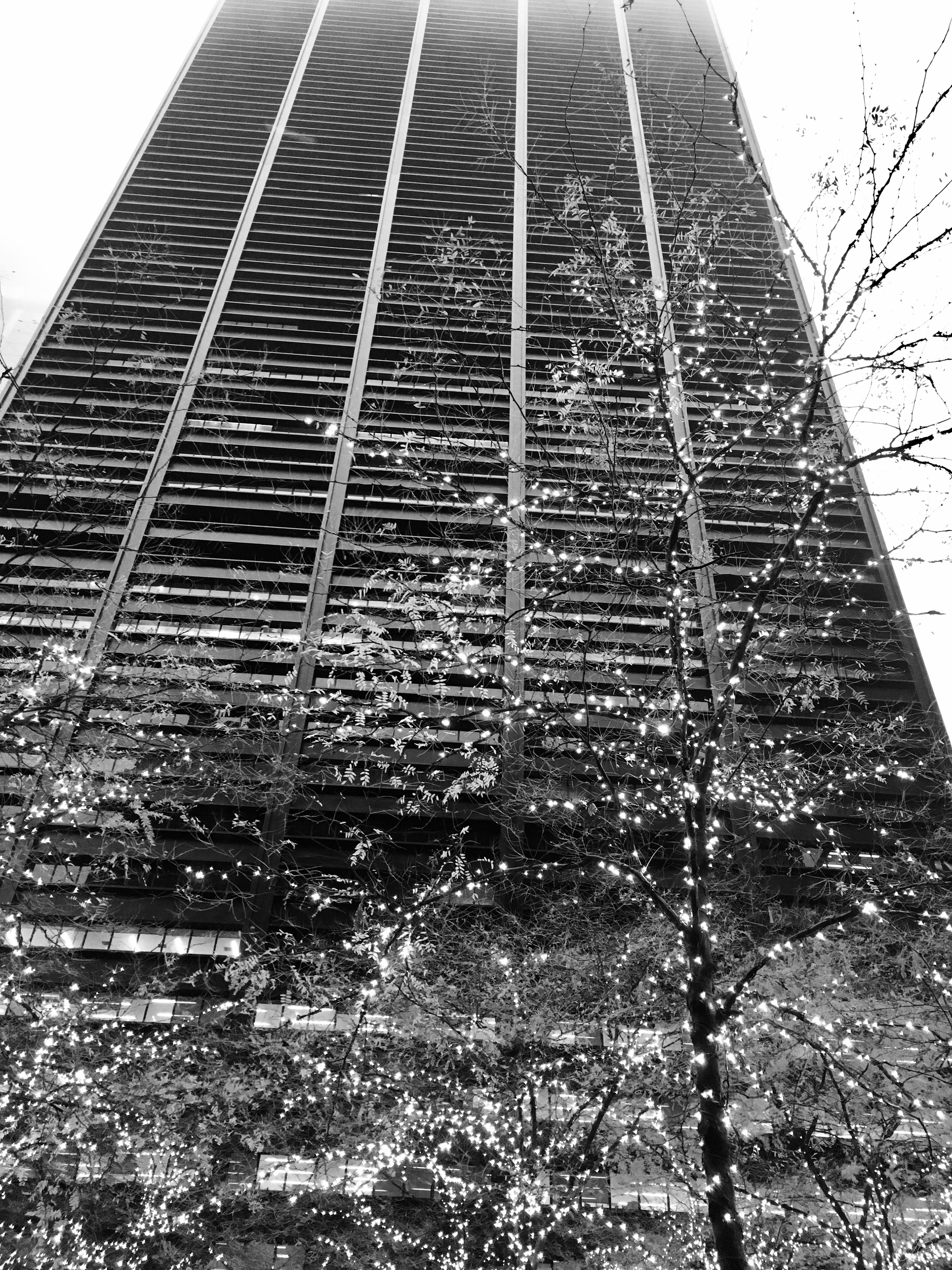 Black and white daylight photograph of a Manhattan skyscraper with trees illuminated by scattered fairy lights in the foreground.