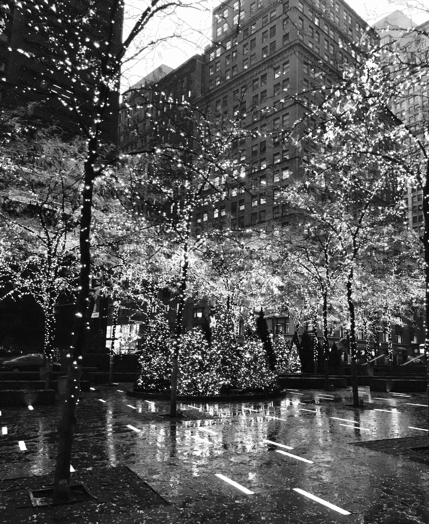Black and white photo of a city square with trees illuminated in fairy lights against the backdrop of New York Architecture. Even though the image is monochrome the fairy lights appear to create a warm glow.